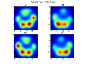Average paws for each leg