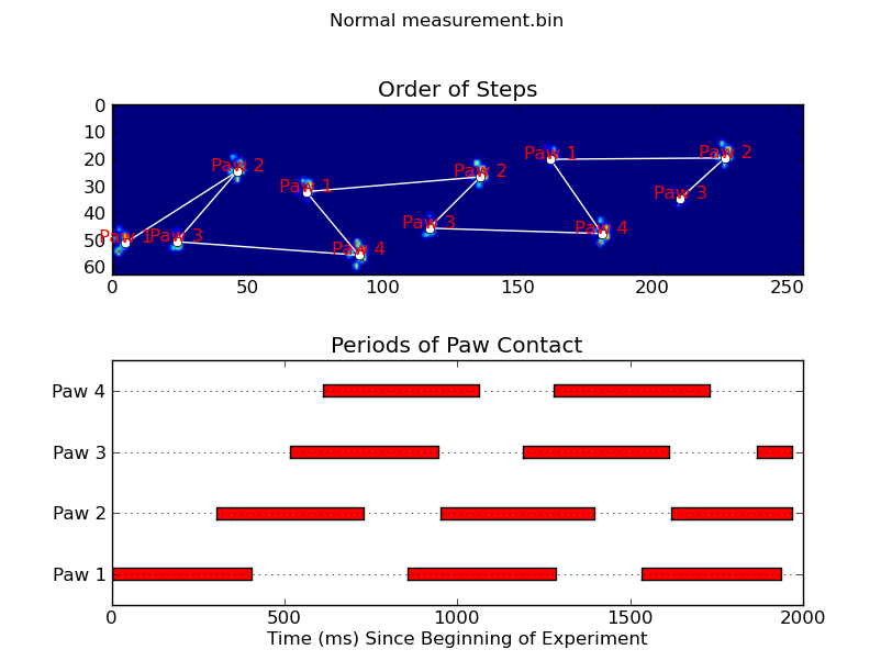 Entire plate with temporal information