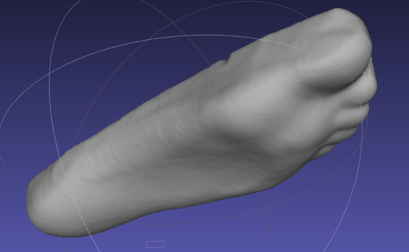A 3D scan from a last of my foot