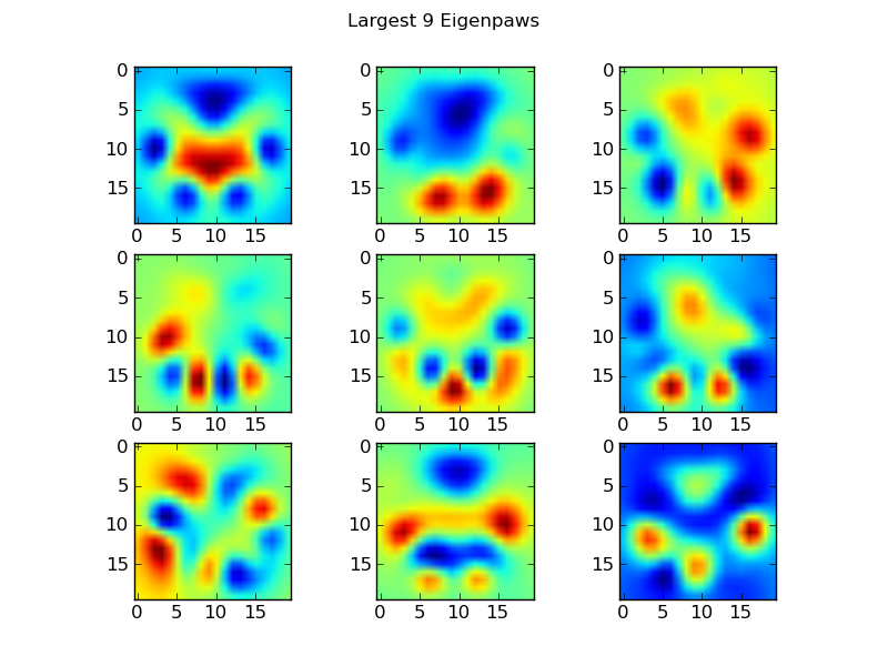 Largest eigenpaws