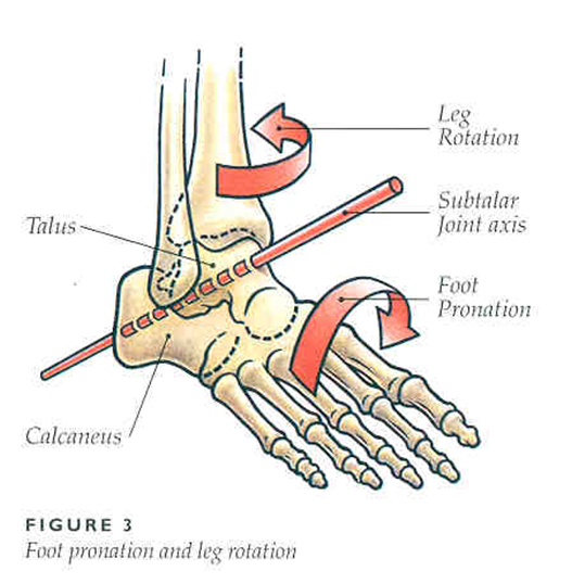 Rotations around ankle axis